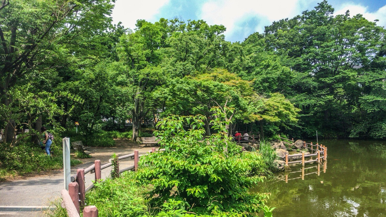 ヨシカワ｜菊名池薬局(妙蓮寺駅)｜滝の川薬局(神奈川駅)